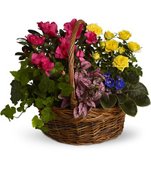 Blooming Garden Basket from Olney's Flowers of Rome in Rome, NY